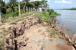 Bến Tre cần 60 tỷ đồng khắc phục sạt lở khu vực cồn Phú Bình - Phú Đa 